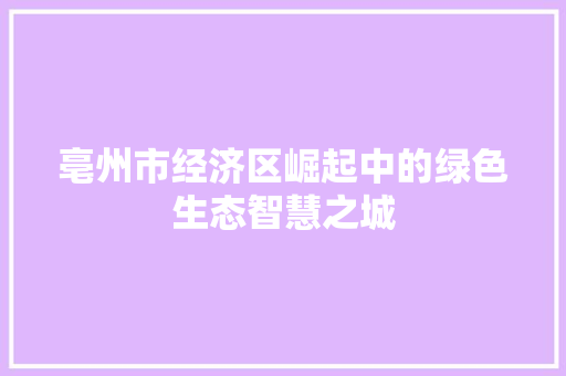 亳州市经济区崛起中的绿色生态智慧之城 亳州市经济区崛起中的绿色生态智慧之城