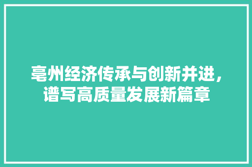 亳州经济传承与创新并进,谱写高质量发展新篇章 亳州经济传承与创新并进,谱写高质量发展新篇章