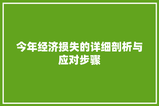 今年经济损失的详细剖析与应对步骤 今年经济损失的详细剖析与应对步骤