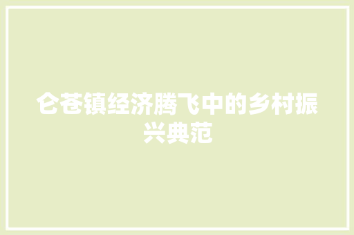 仑苍镇经济腾飞中的乡村振兴典范 仑苍镇经济腾飞中的乡村振兴典范
