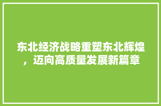 东北经济战略重塑东北辉煌,迈向高质量发展新篇章 东北经济战略重塑东北辉煌,迈向高质量发展新篇章