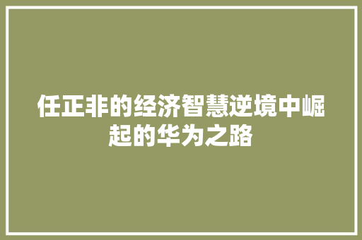 任正非的经济智慧逆境中崛起的华为之路 任正非的经济智慧逆境中崛起的华为之路