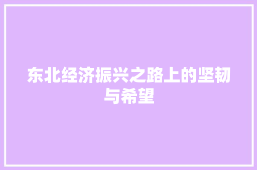东北经济振兴之路上的坚韧与希望
