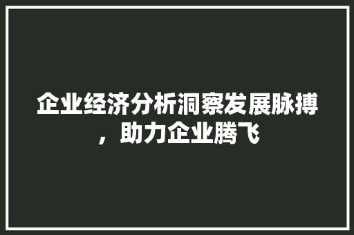 企业经济分析洞察发展脉搏,助力企业腾飞 企业经济分析洞察发展脉搏,助力企业腾飞