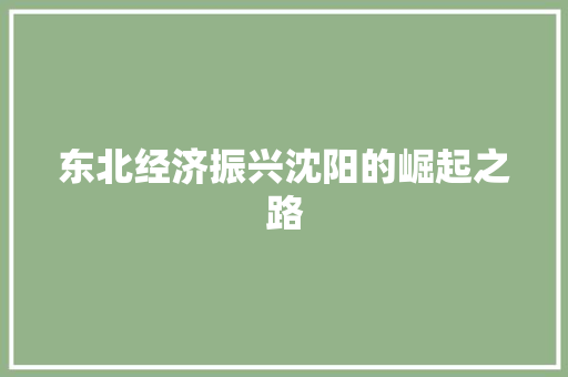 东北经济振兴沈阳的崛起之路 东北经济振兴沈阳的崛起之路