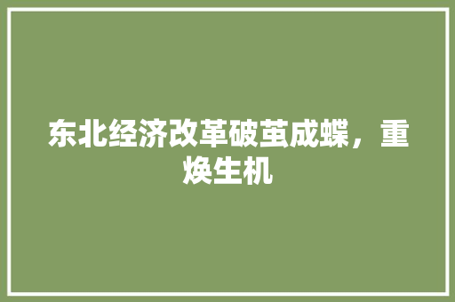 东北经济改革破茧成蝶,重焕生机 东北经济改革破茧成蝶,重焕生机