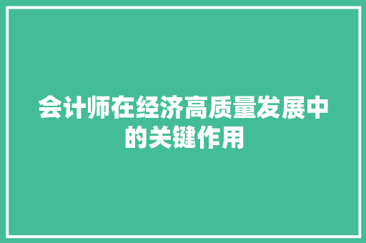 会计师在经济高质量发展中的关键作用 会计师在经济高质量发展中的关键作用