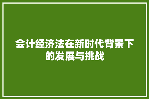 会计经济法在新时代背景下的发展与挑战 会计经济法在新时代背景下的发展与挑战