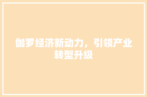 伽罗经济新动力,引领产业转型升级 伽罗经济新动力,引领产业转型升级