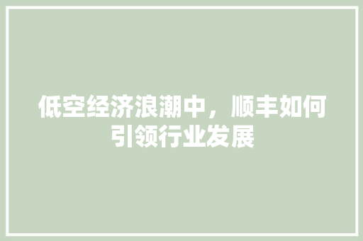 低空经济浪潮中,顺丰如何引领行业发展 低空经济浪潮中,顺丰如何引领行业发展