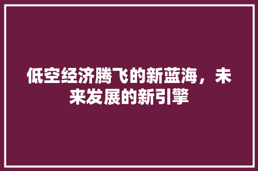 低空经济腾飞的新蓝海,未来发展的新引擎 低空经济腾飞的新蓝海,未来发展的新引擎