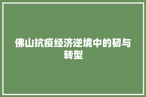 佛山抗疫经济逆境中的韧与转型 佛山抗疫经济逆境中的韧与转型