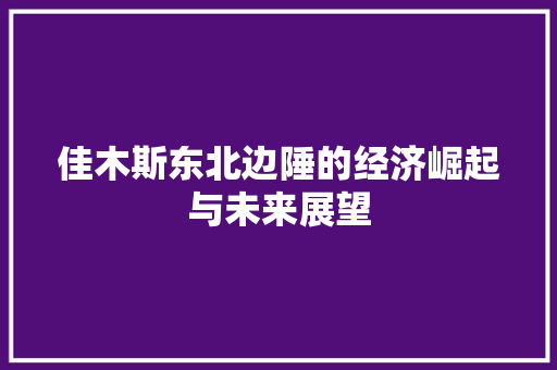 佳木斯东北边陲的经济崛起与未来展望