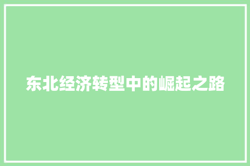 东北经济转型中的崛起之路 东北经济转型中的崛起之路