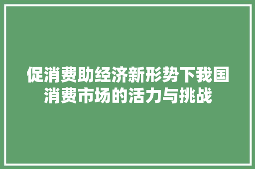 促消费助经济新形势下我国消费市场的活力与挑战 促消费助经济新形势下我国消费市场的活力与挑战