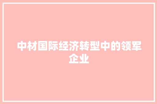 中材国际经济转型中的领军企业