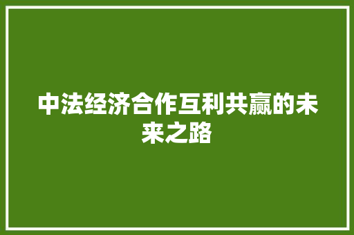 中法经济合作互利共赢的未来之路 中法经济合作互利共赢的未来之路