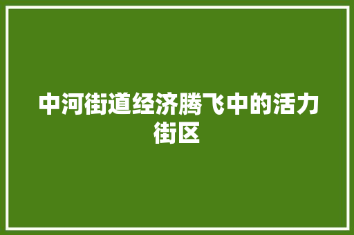 中河街道经济腾飞中的活力街区 中河街道经济腾飞中的活力街区