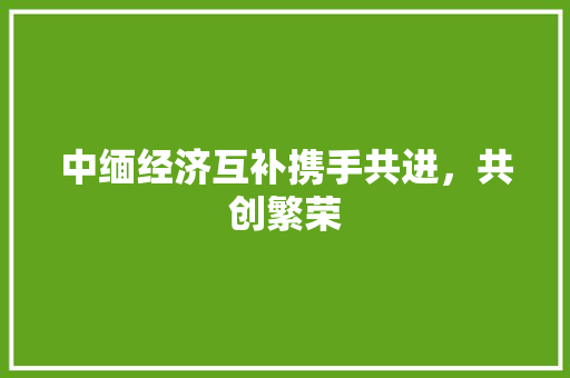 中缅经济互补携手共进,共创繁荣 中缅经济互补携手共进,共创繁荣