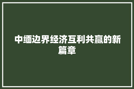 中缅边界经济互利共赢的新篇章 中缅边界经济互利共赢的新篇章