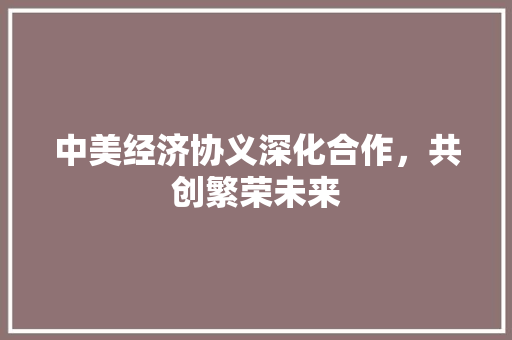 中美经济协义深化合作,共创繁荣未来 中美经济协义深化合作,共创繁荣未来