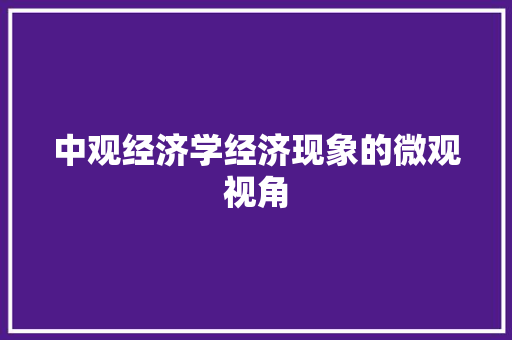 中观经济学经济现象的微观视角 中观经济学经济现象的微观视角