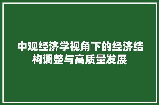 中观经济学视角下的经济结构调整与高质量发展