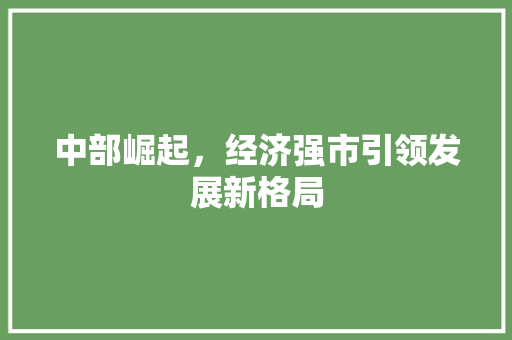 中部崛起,经济强市引领发展新格局 中部崛起,经济强市引领发展新格局