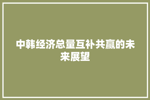 中韩经济总量互补共赢的未来展望 中韩经济总量互补共赢的未来展望