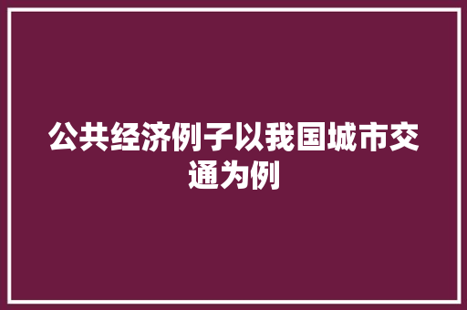 公共经济例子以我国城市交通为例 公共经济例子以我国城市交通为例