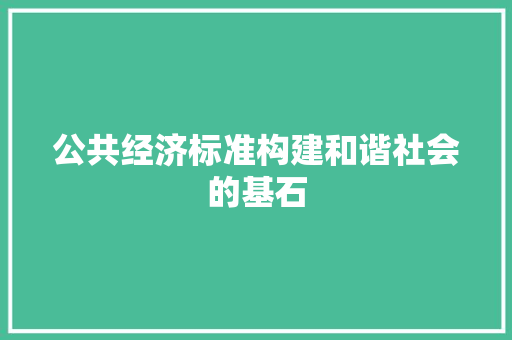 公共经济标准构建和谐社会的基石 公共经济标准构建和谐社会的基石