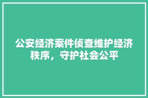 公安经济案件侦查维护经济秩序，守护社会公平