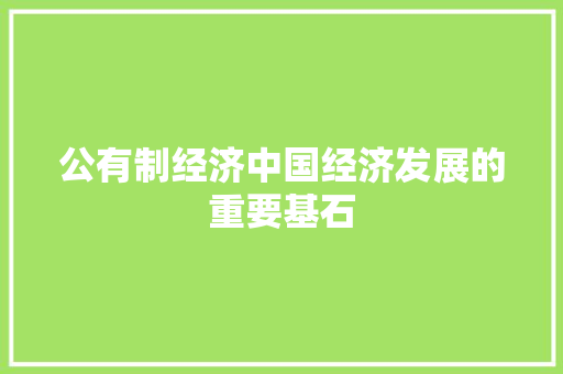 公有制经济中国经济发展的重要基石 公有制经济中国经济发展的重要基石
