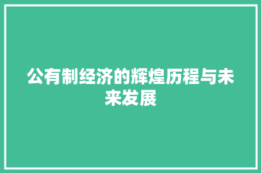 公有制经济的辉煌历程与未来发展 公有制经济的辉煌历程与未来发展