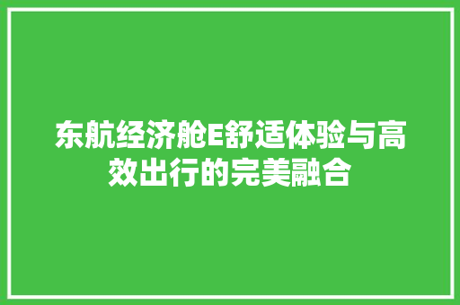 东航经济舱E舒适体验与高效出行的完美融合 东航经济舱E舒适体验与高效出行的完美融合