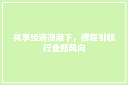 共享经济浪潮下,携程引领行业新风向 共享经济浪潮下,携程引领行业新风向