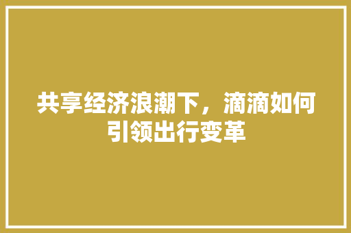 共享经济浪潮下,滴滴如何引领出行变革 共享经济浪潮下,滴滴如何引领出行变革