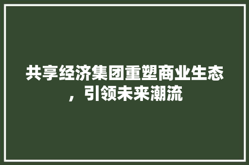 共享经济集团重塑商业生态,引领未来潮流 共享经济集团重塑商业生态,引领未来潮流