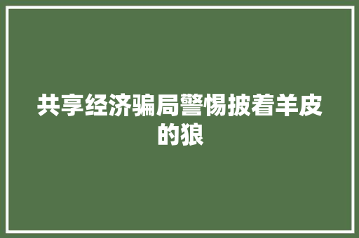 共享经济骗局警惕披着羊皮的狼 共享经济骗局警惕披着羊皮的狼
