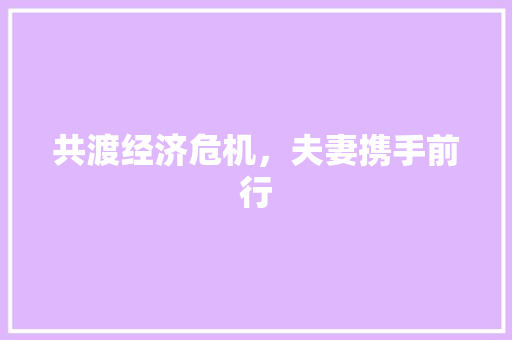 共渡经济危机,夫妻携手前行 共渡经济危机,夫妻携手前行
