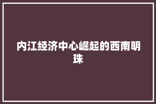 内江经济中心崛起的西南明珠 内江经济中心崛起的西南明珠