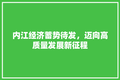 内江经济蓄势待发,迈向高质量发展新征程 内江经济蓄势待发,迈向高质量发展新征程