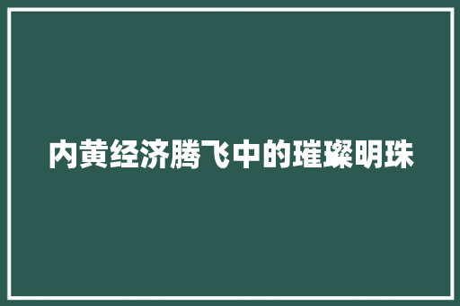 内黄经济腾飞中的璀璨明珠 内黄经济腾飞中的璀璨明珠