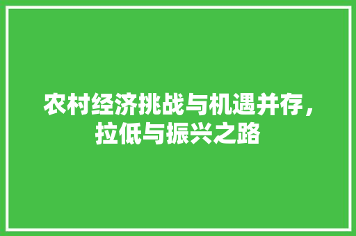 农村经济挑战与机遇并存,拉低与振兴之路 农村经济挑战与机遇并存,拉低与振兴之路