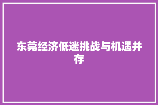 东莞经济低迷挑战与机遇并存 东莞经济低迷挑战与机遇并存
