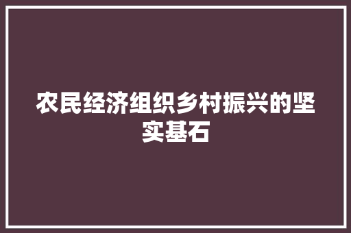 农民经济组织乡村振兴的坚实基石 农民经济组织乡村振兴的坚实基石