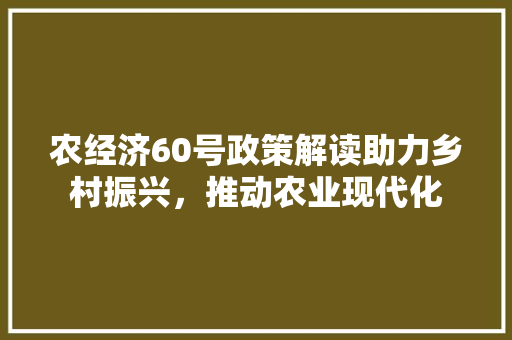 农经济60号政策解读助力乡村振兴,推动农业现代化 农经济60号政策解读助力乡村振兴,推动农业现代化