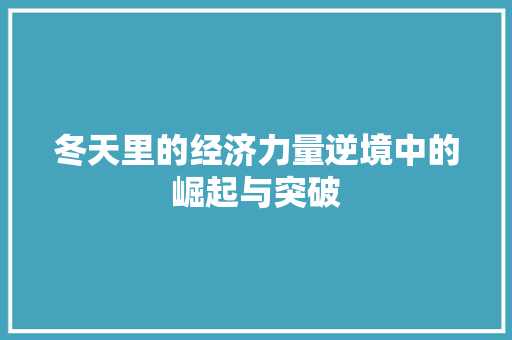 冬天里的经济力量逆境中的崛起与突破 冬天里的经济力量逆境中的崛起与突破