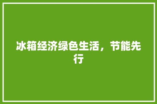 冰箱经济绿色生活,节能先行 冰箱经济绿色生活,节能先行