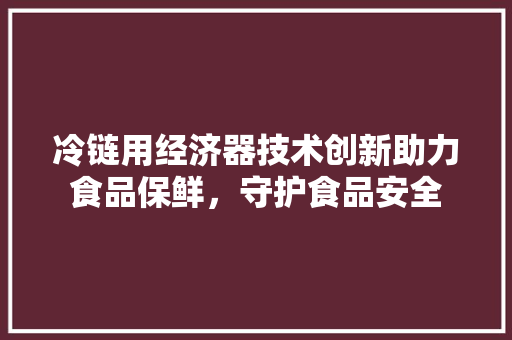 冷链用经济器技术创新助力食品保鲜，守护食品安全